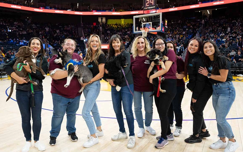 Warriors Puppy Love™